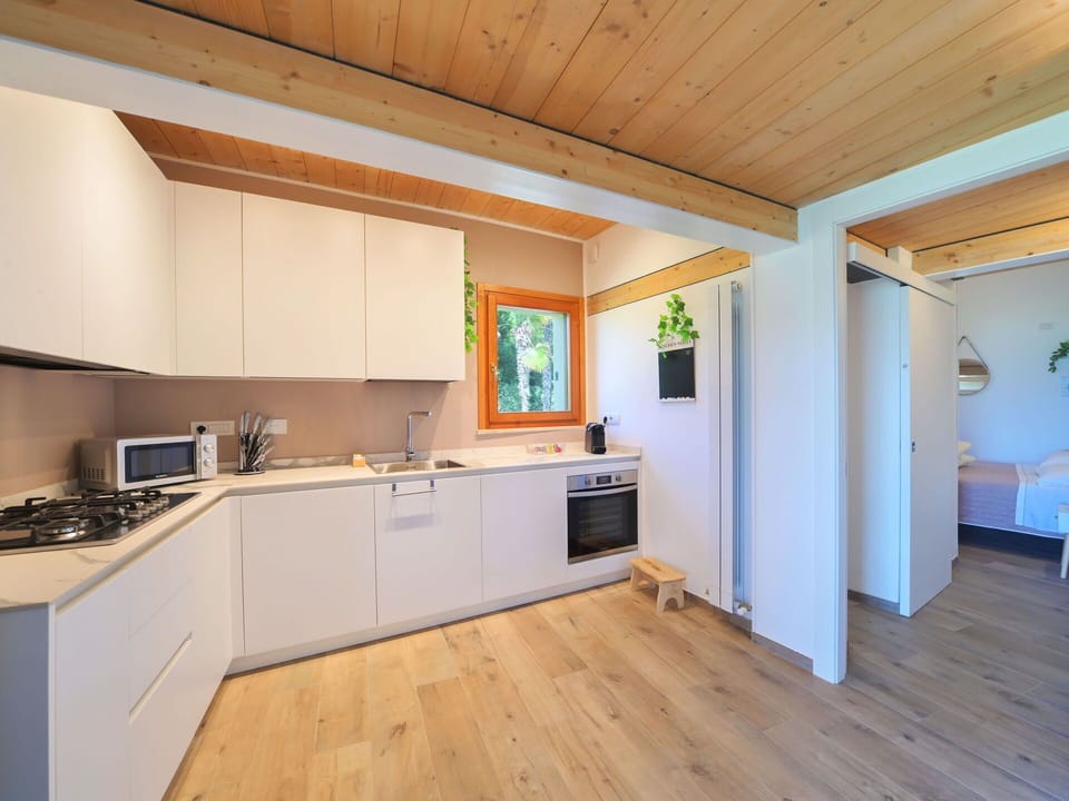 Cabinetry, Property, Countertop, Building, Kitchen Appliance, Wood, Kitchen Stove, Interior Design, Houseplant, Sink