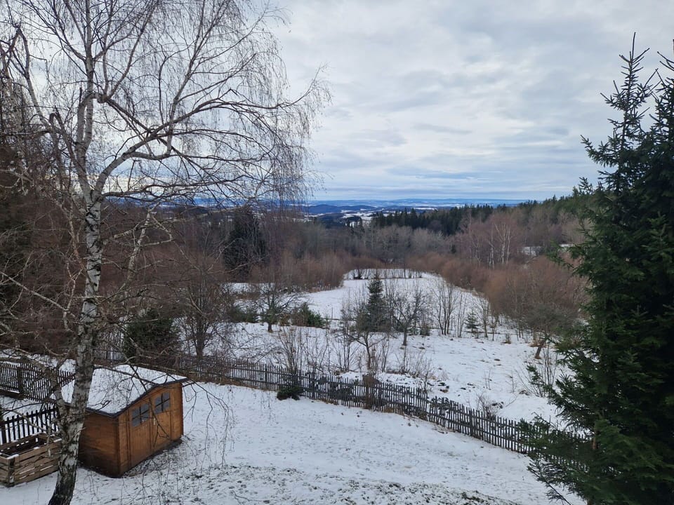Cloud, Sky, Plant, Snow, Natural Landscape, Window, Tree, Wood, Branch, Freezing