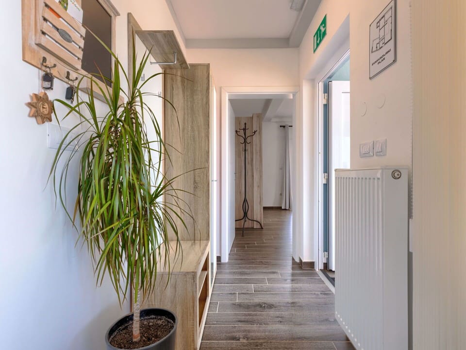 Plant, Property, Houseplant, Flowerpot, Wood, Door, Interior Design, Architecture, Building