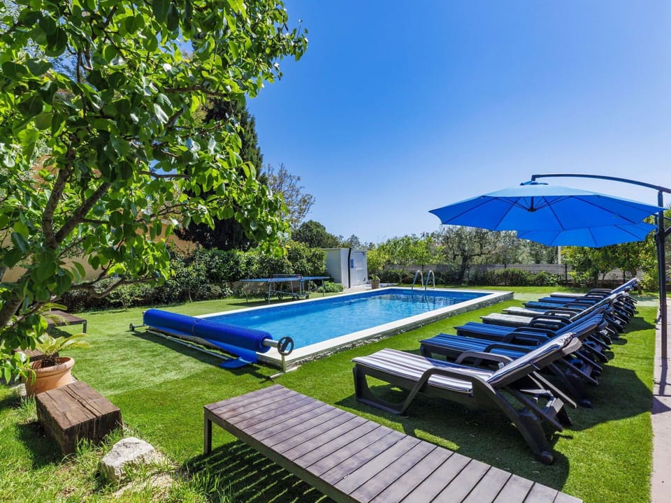 Plant, Swimming Pool, Sky, Water, Outdoor Furniture, Shade, Umbrella, Sunlounger, Building, Tree