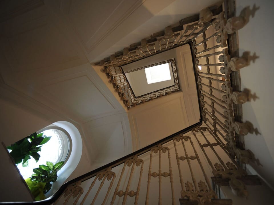 Plant, Building, Sky, Window, Tree, House, Land Lot, Neighbourhood, Urban Design, Residential Area