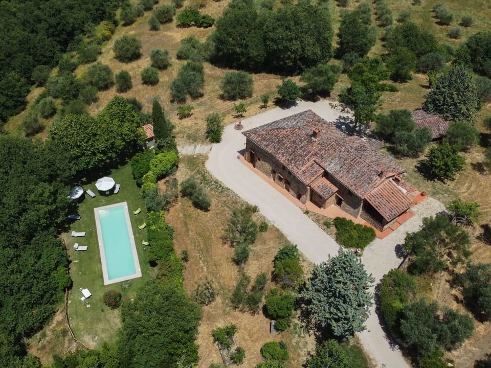 Plant, Property, Tree, Land Lot, Natural Landscape, Urban Design, Residential Area, Landscape, Real Estate, Rural Area