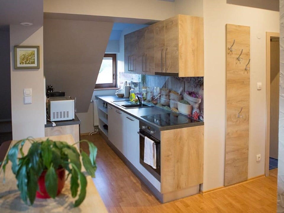 Countertop, Cabinetry, Property, Sink, Kitchen, Wood, Kitchen Stove, Kitchen Appliance, Interior Design, Houseplant