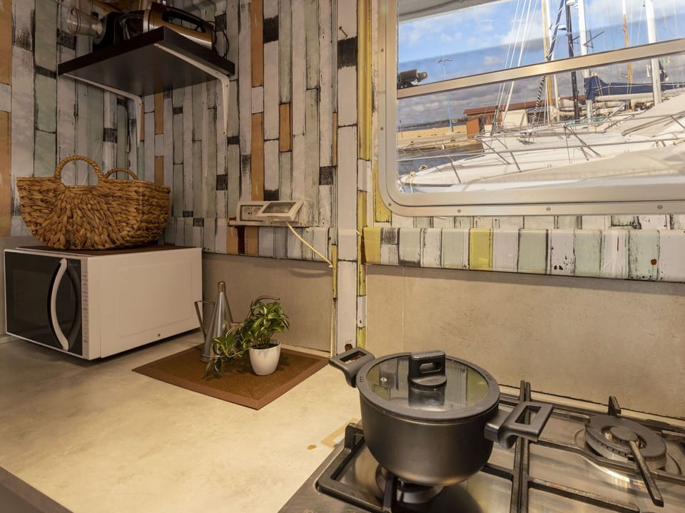 Plant, Flowerpot, Interior Design, Wood, Building, Floor, Flooring, Real Estate, Gas, Hardwood