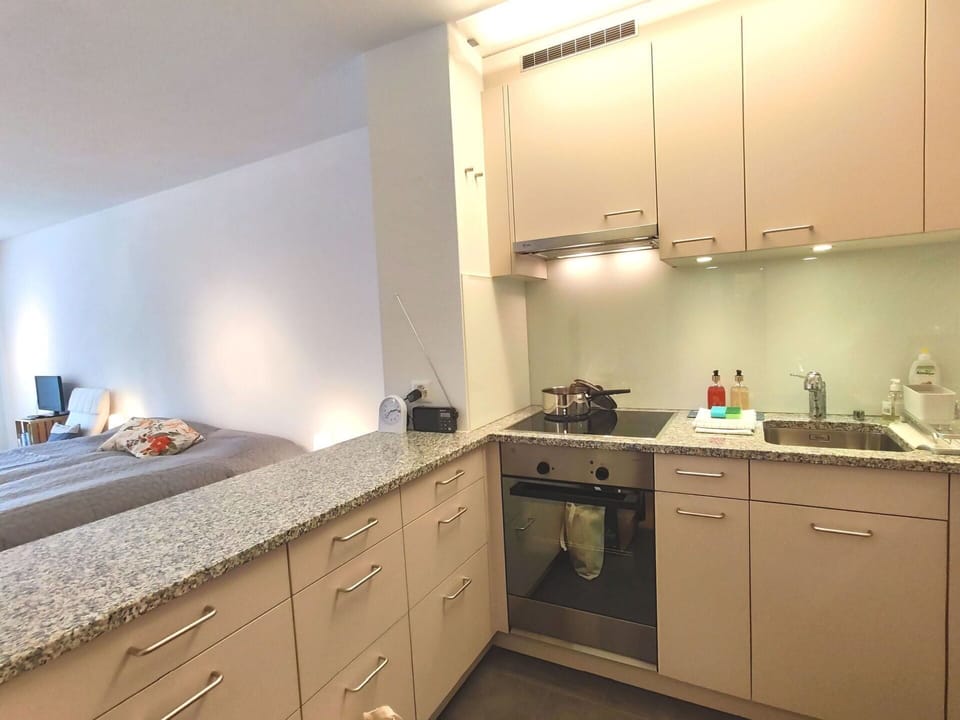 Cabinetry, Countertop, Property, Furniture, Sink, Drawer, Wood, Kitchen, Interior Design, Kitchen Sink