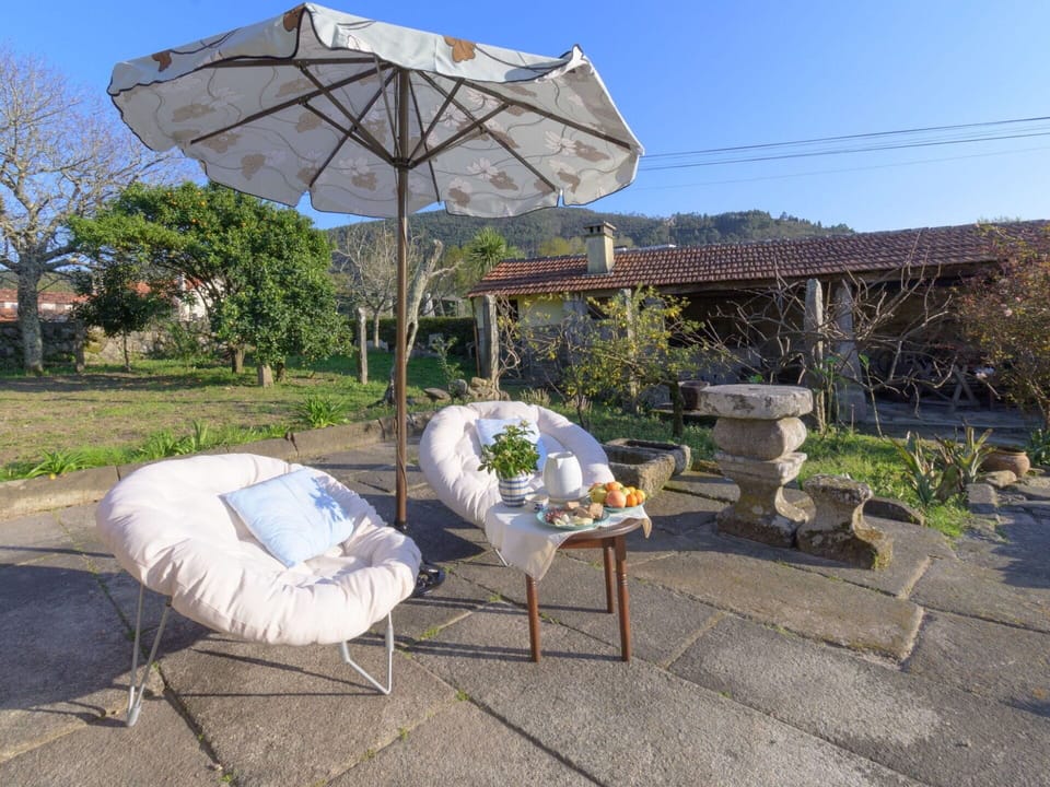 Plant, Sky, Property, Furniture, Plant Community, Shade, Outdoor Furniture, Flowerpot, Comfort, Landscape