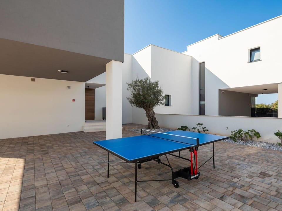 Property, Building, Plant, Window, Table, Azure, Rectangle, Sky, Interior Design, Shade