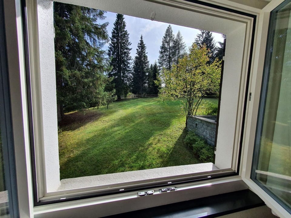 Plant, Window, Shade, Sky, Tree, Wood, Vegetation, Interior Design, Building