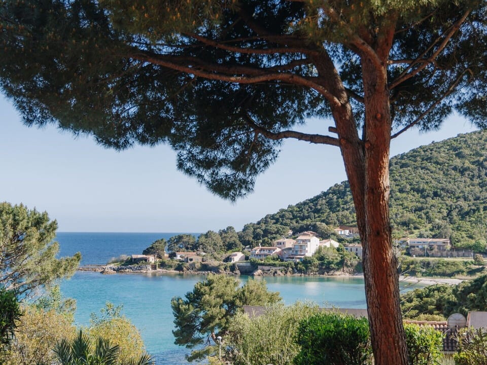 Water, Tree, Vegetation, Coast, Coastal And Oceanic Landforms, Sea, Bank, Lake, Shore, Headland
