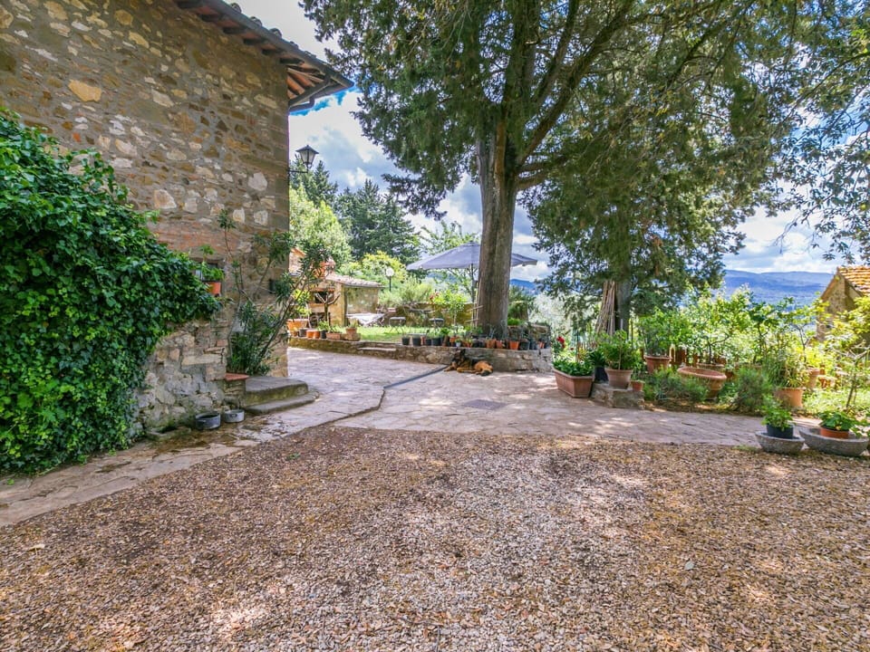 Plant, Property, Sky, Building, Road Surface, Tree, Natural Landscape, Window, Asphalt, Cottage