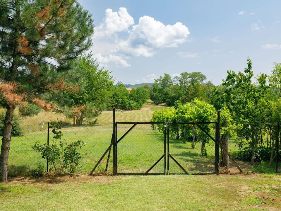 Plant, Cloud, Sky, Plant Community, Natural Landscape, Tree, Vegetation, Land Lot, Shade, Fence