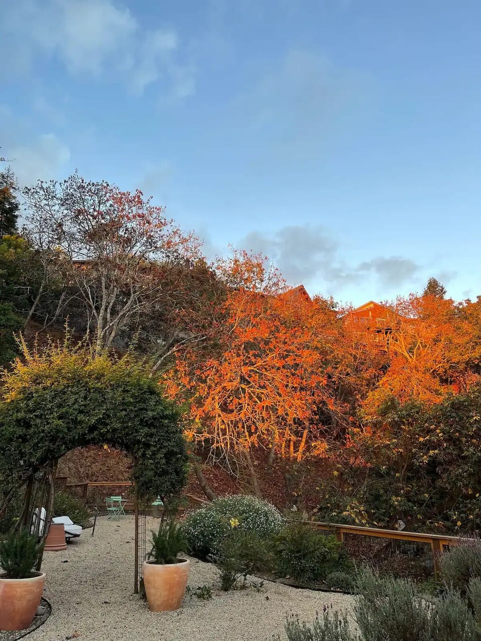 Gorgeous, huge backyard overlooking private canyon. Fully fenced for dogs. 