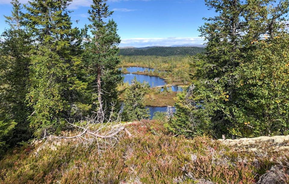 area