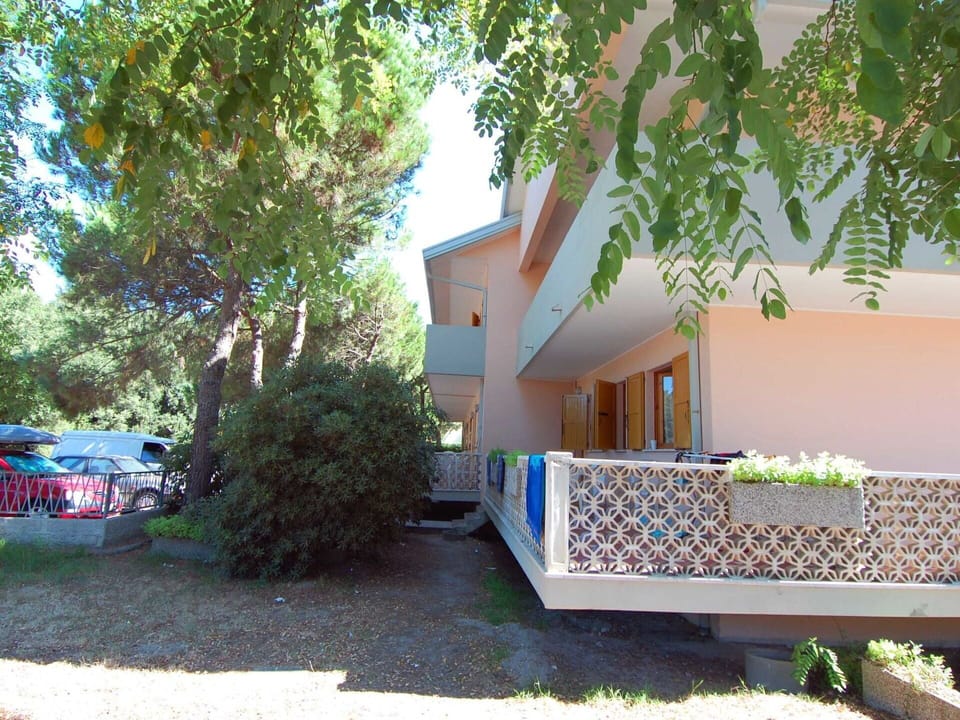 Plant, Building, Leaf, Tree, House, Shade, Land Lot, Arecales, Urban Design, Woody Plant