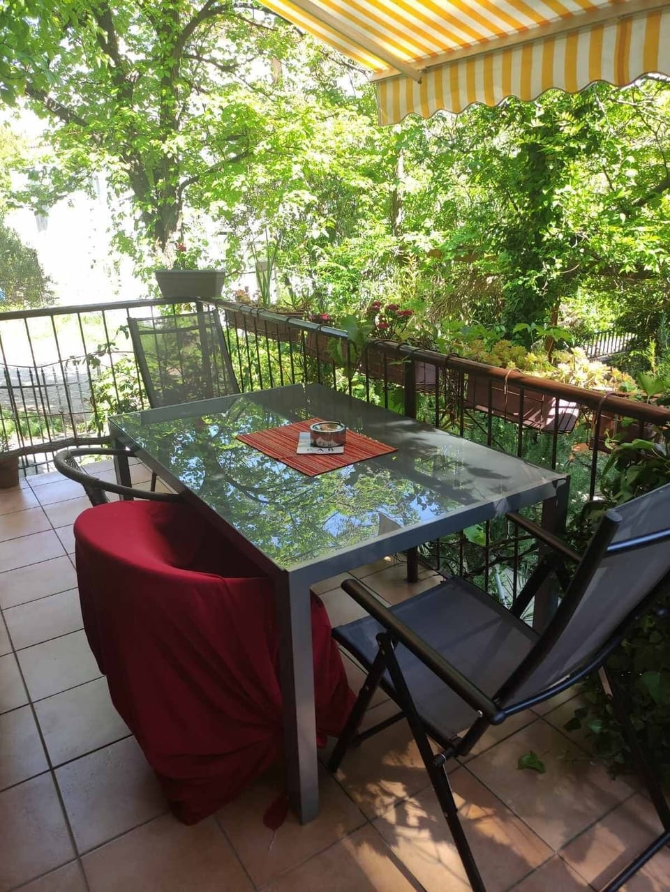 Terrace