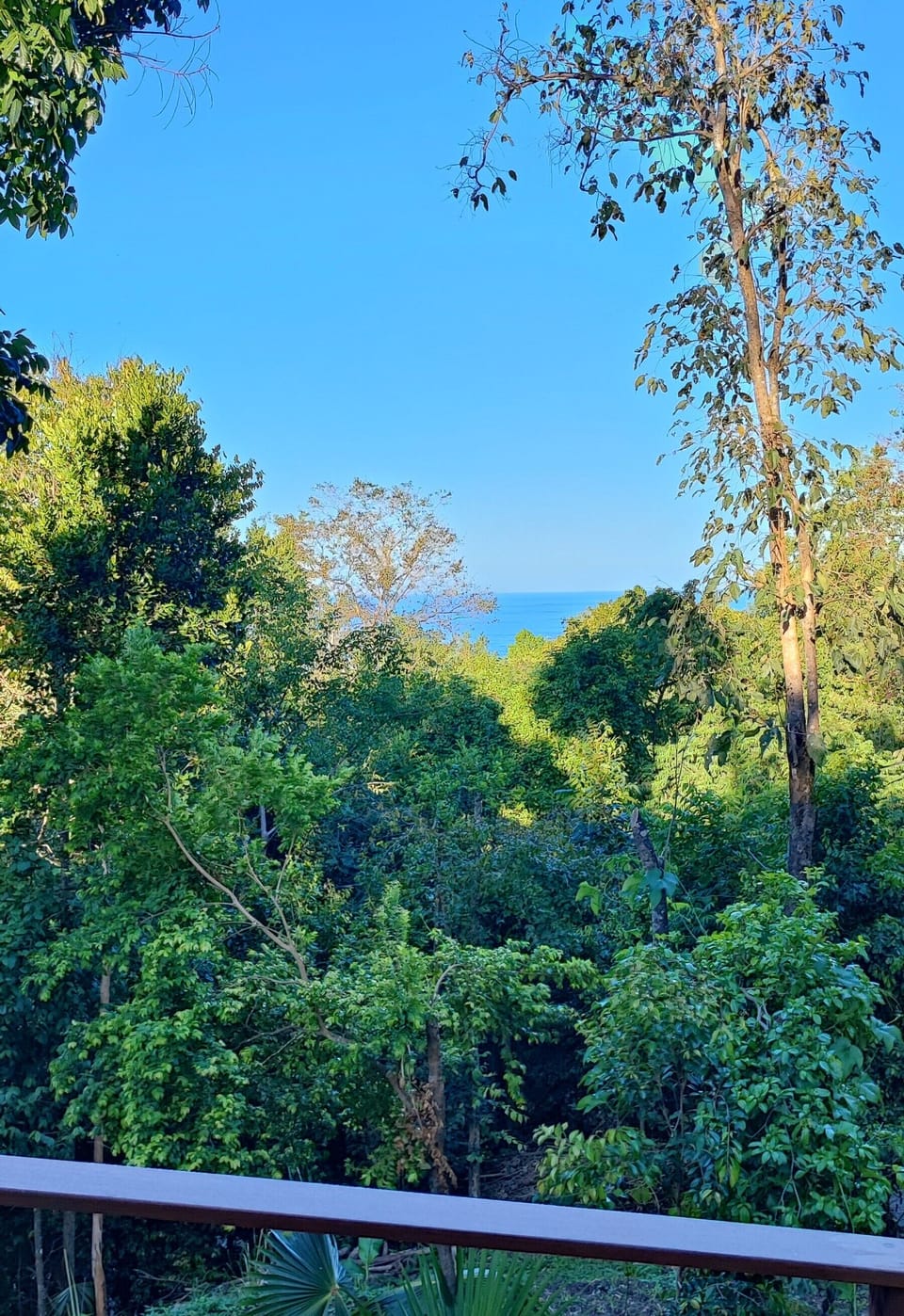 View from property