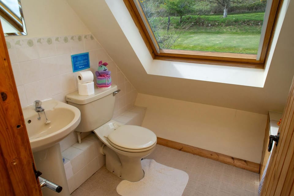 Bathroom showing WC and washbasin, velux window