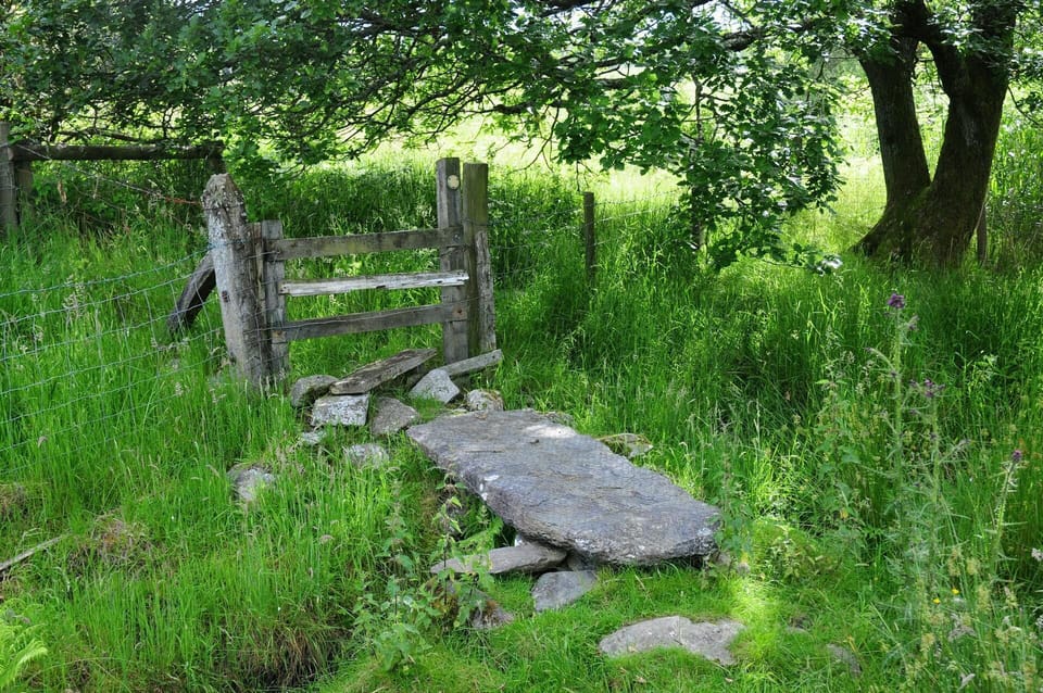 Flat rock laid on the floor next to a wooden style and surrounding undergrowth