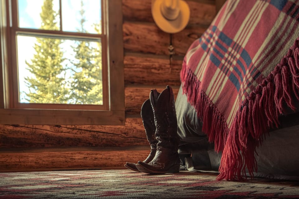 Indian_Paintbrush_0004 1