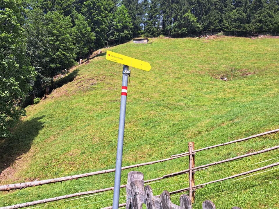 Plant, Tree, Slope, Land Lot, Fence, Natural Landscape, Grass, Grassland, Groundcover, Shrub