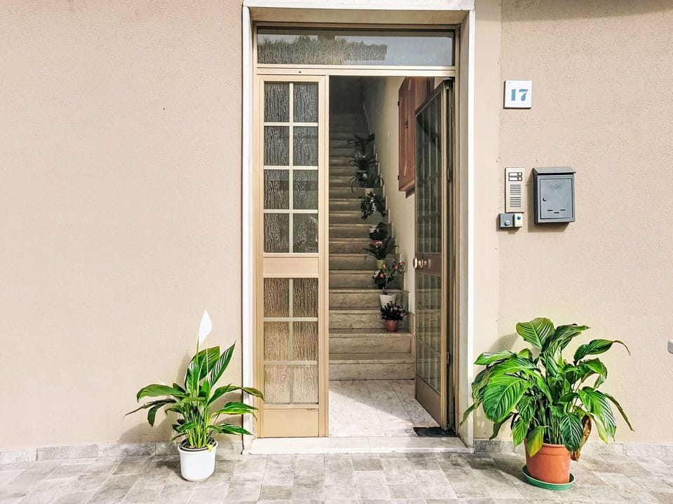 Wall, Wood, Flowerpot, Door, Home Door, Floor, Houseplant, Wood Stain, Hardwood, Molding