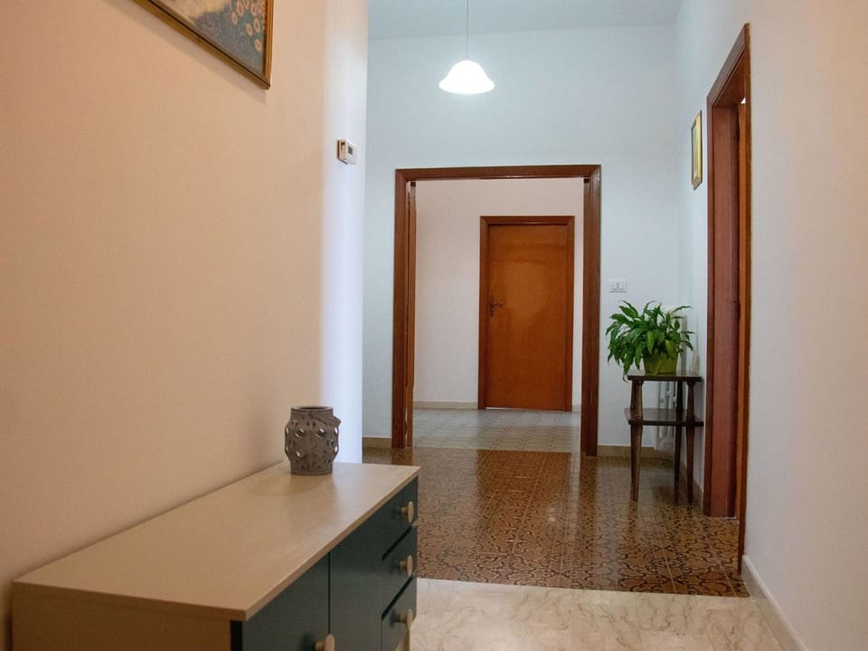 Property, Plant, Wood, Houseplant, Drawer, Floor, Flooring, Building, Door