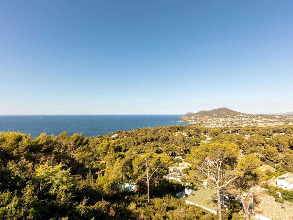Sky, Water, Plant, Plant Community, Cloud, Tree, Natural Landscape, Coastal And Oceanic Landforms, Terrain, Horizon