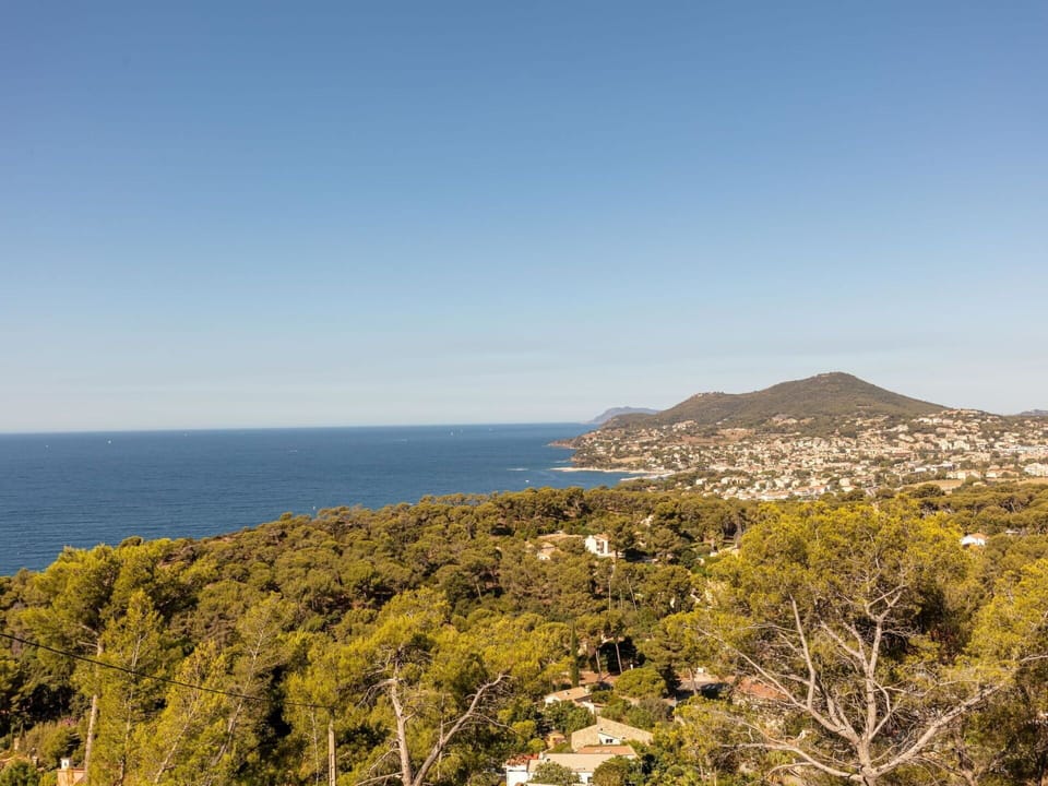 Sky, Water, Plant Community, Ecoregion, Plant, Natural Landscape, Tree, Coastal And Oceanic Landforms, Terrain, Horizon