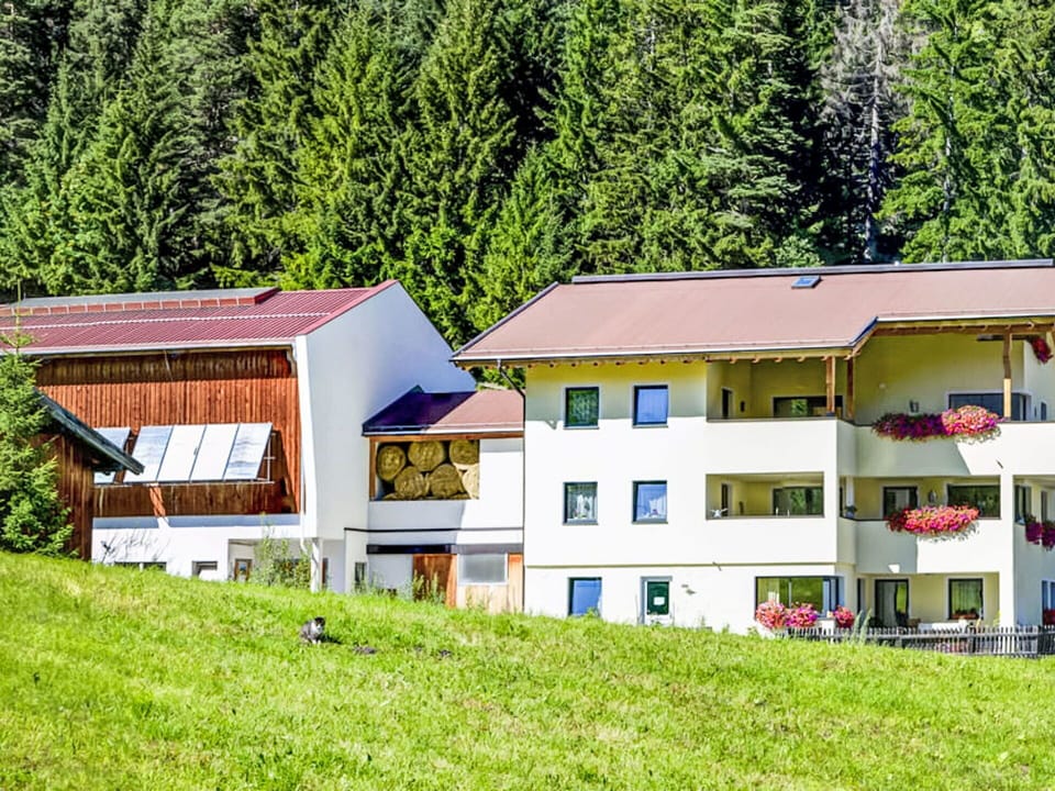 Home, House, Residential Area, Cottage, Estate, Village, Lawn, Balcony, Landscaping, Larch