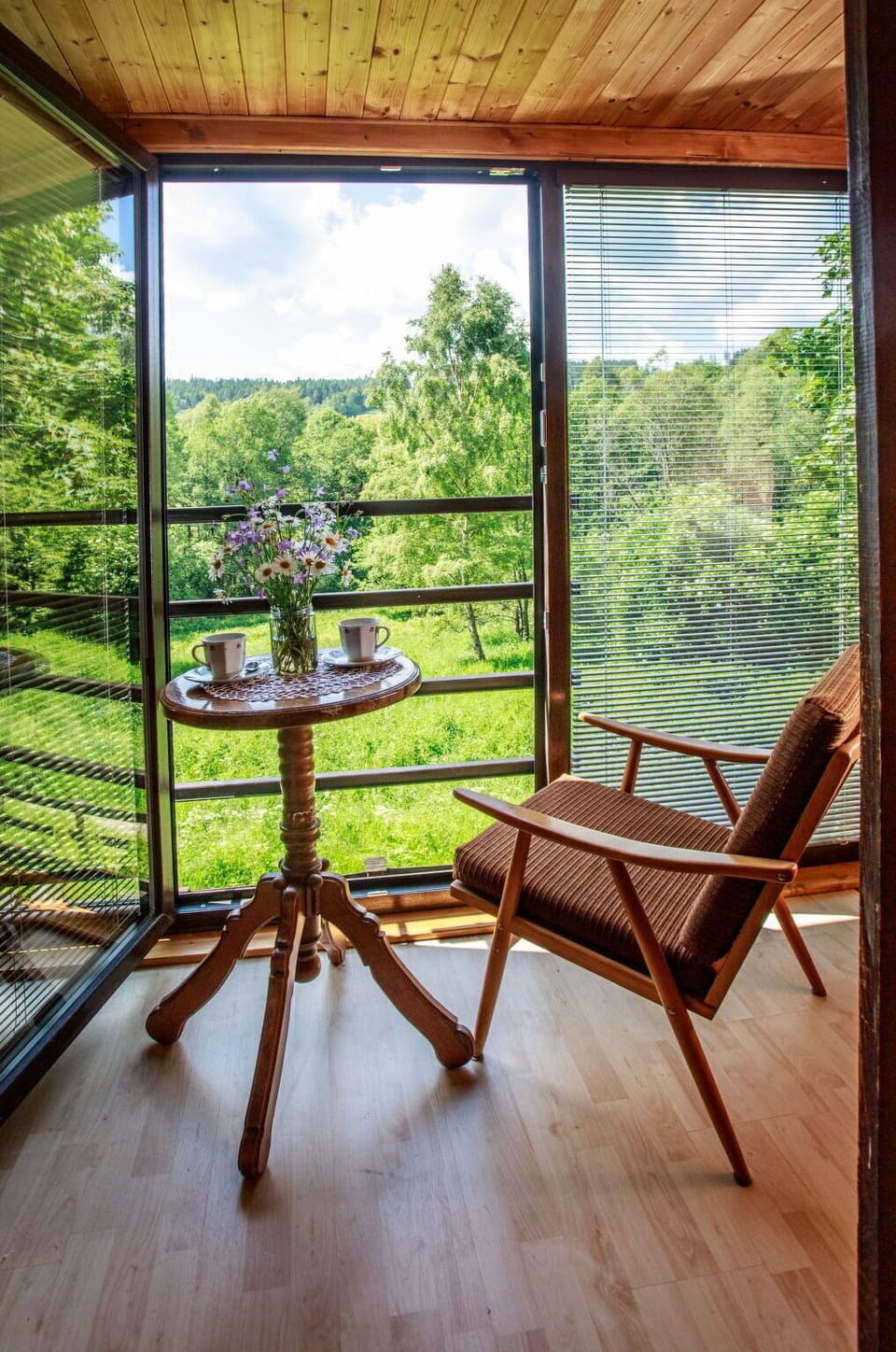 Plant, Flower, Flowerpot, Sky, Porch, Wood, Tree, Interior Design, Sunlight, Houseplant