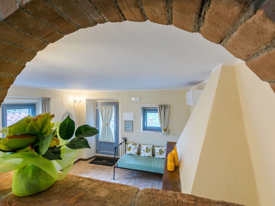 Plant, Building, Houseplant, Wood, Shade, Interior Design, Couch, Window, Floor, Flowerpot