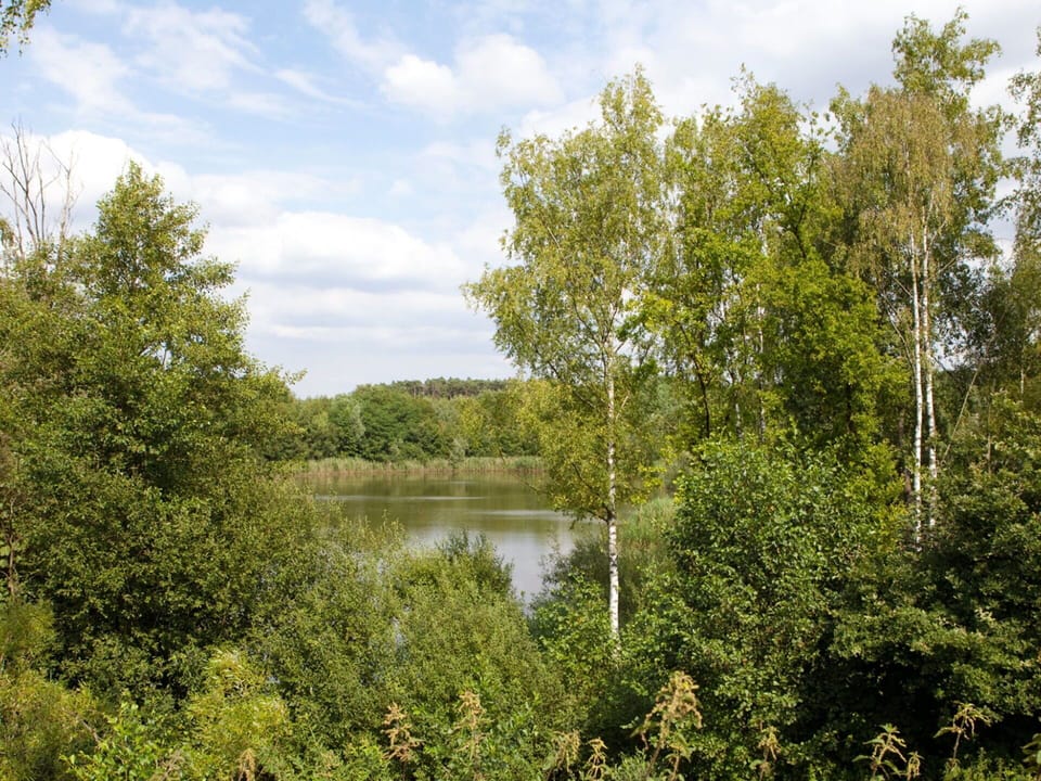 Water, Cloud, Sky, Plant, Water Resources, Plant Community, Natural Landscape, Branch, Body Of Water, Lake