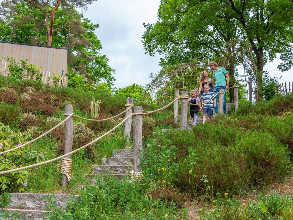 Plant, Plant Community, Sky, Tree, Cloud, Natural Landscape, Fence, Grass, Landscape, Wood