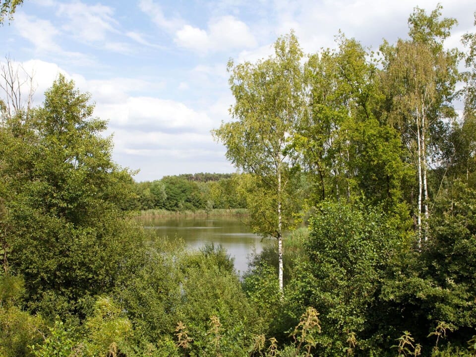 Water, Cloud, Sky, Plant, Water Resources, Plant Community, Natural Landscape, Branch, Body Of Water, Lake