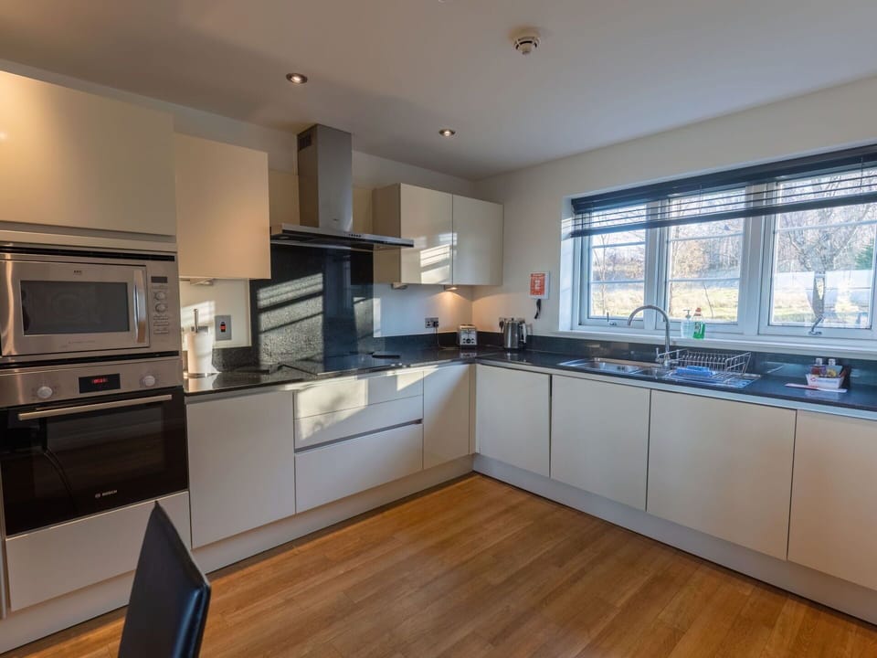 Cabinetry, Countertop, Kitchen Stove, Kitchen Appliance, Window, Kitchen, Wood, Home Appliance, Interior Design, Stove