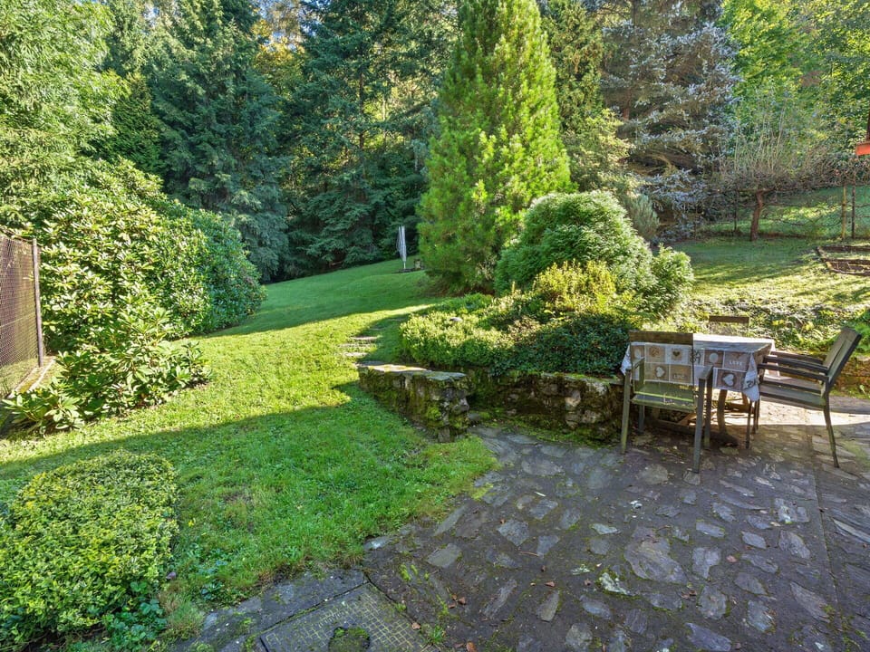 Leaf, Grass, Green, Vegetation, Garden, Shrub, Landscape, Plant Community, Groundcover, Lawn