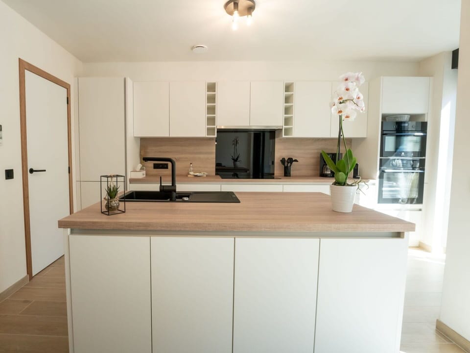 Cabinetry, Property, Countertop, Sink, Kitchen Sink, Wood, Interior Design, Floor, Flooring, Houseplant