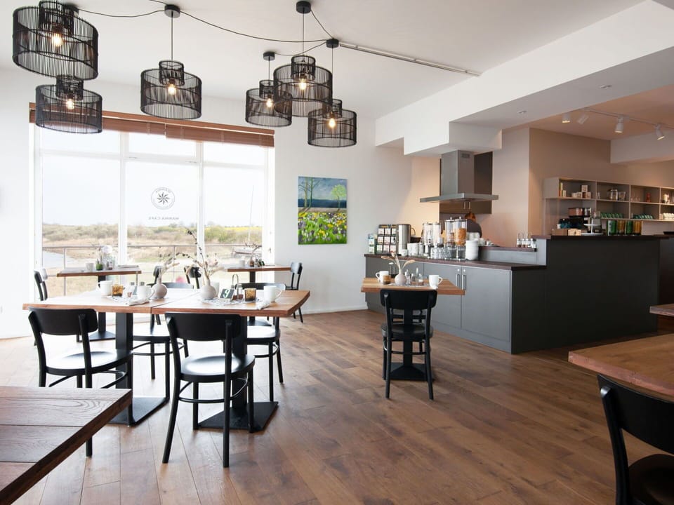 Plant, Building, Window, Swimming Pool, Azure, Water, Tree, House, Sky, Urban Design