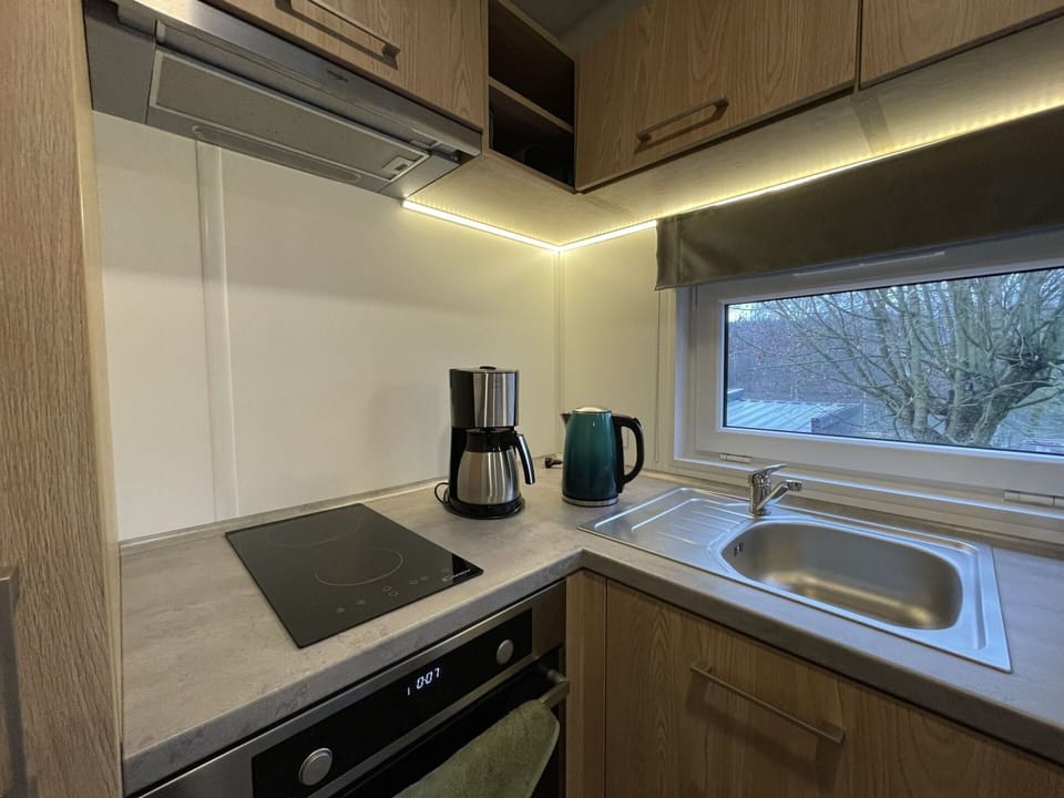 Cabinetry, Countertop, Property, Kitchen Sink, Furniture, Sink, Tap, Kitchen, Wood, Plumbing Fixture