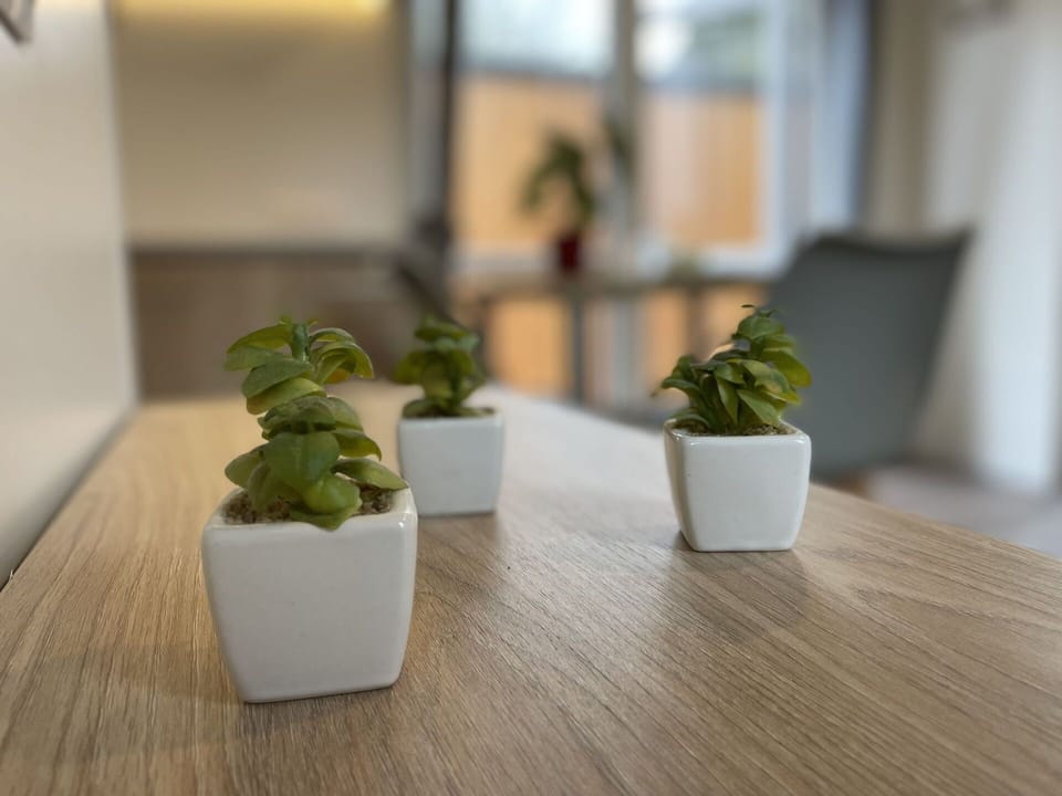 Wood, Interior Design, Plant, Rectangle, Flooring, Table, Houseplant, Terrestrial Plant, Hardwood, Grass