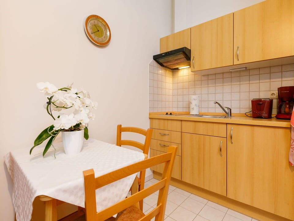Cabinetry, Furniture, Kitchen Sink, Countertop, Property, Sink, Plant, Tap, Plumbing Fixture, Flower