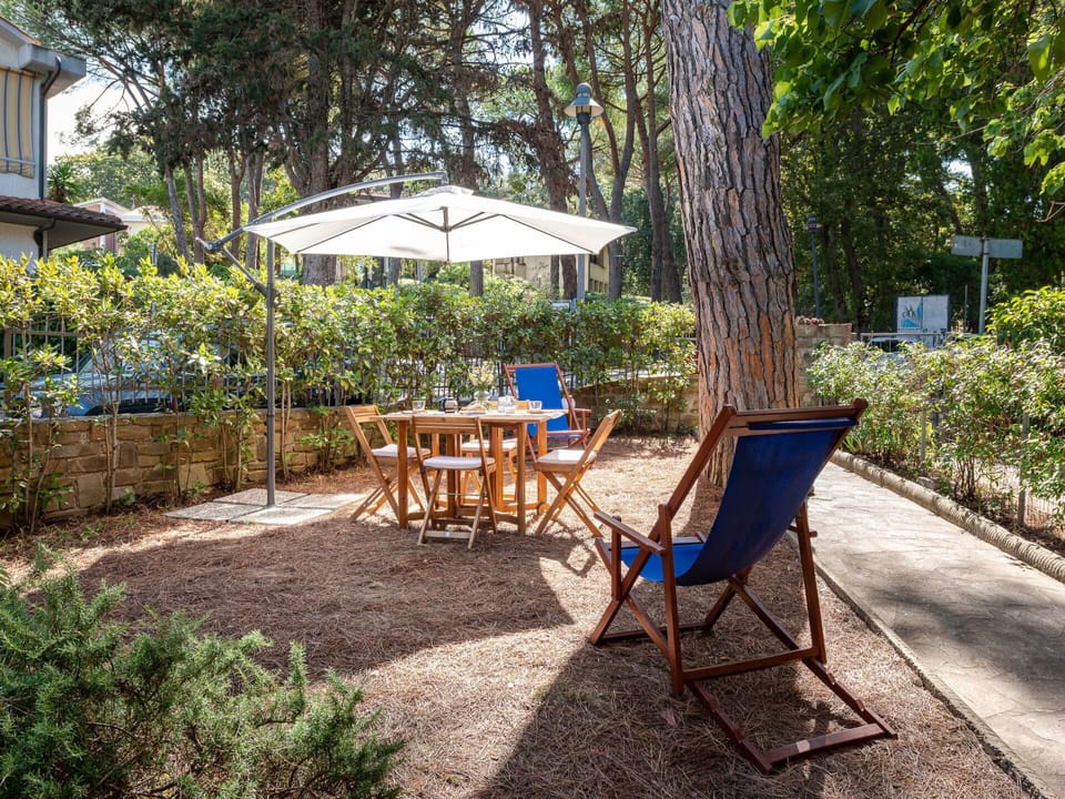 Plant, Property, Table, Shade, Tree, Outdoor Furniture, Chair, Umbrella, Outdoor Table, Leisure