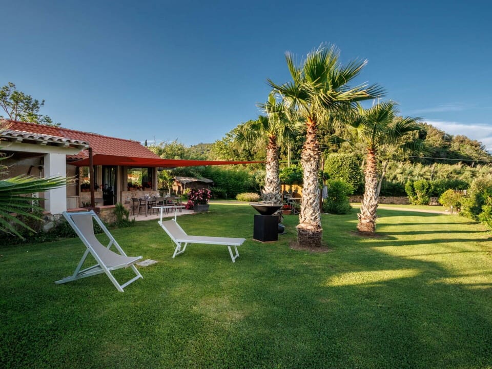 Sky, Plant, Property, Tree, Shade, Arecales, Natural Landscape, Building, Grass, Leisure