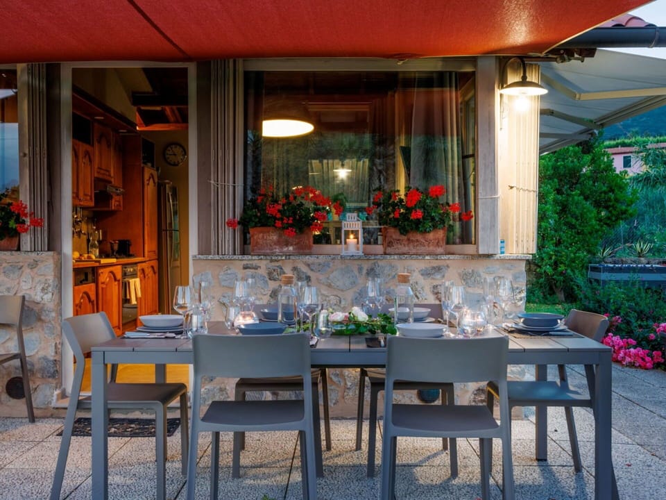 Plant, Furniture, Property, Table, Interior Design, Window, Chair, Decoration, Architecture, Building