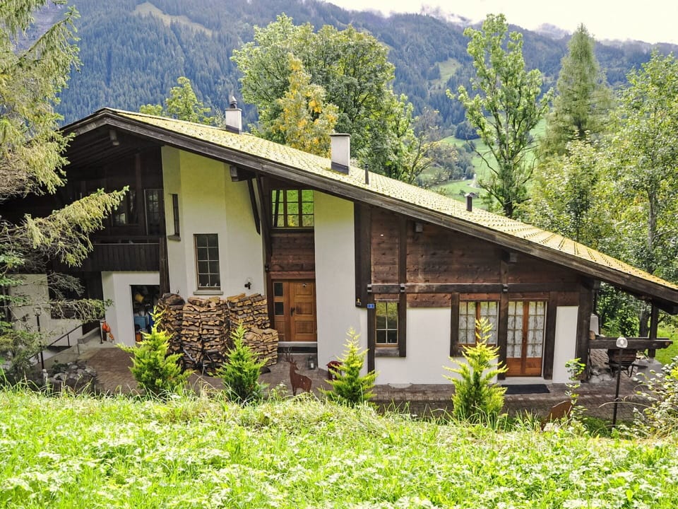 Plant, Property, Building, Plant Community, Window, Tree, Botany, Green, Nature, Leaf