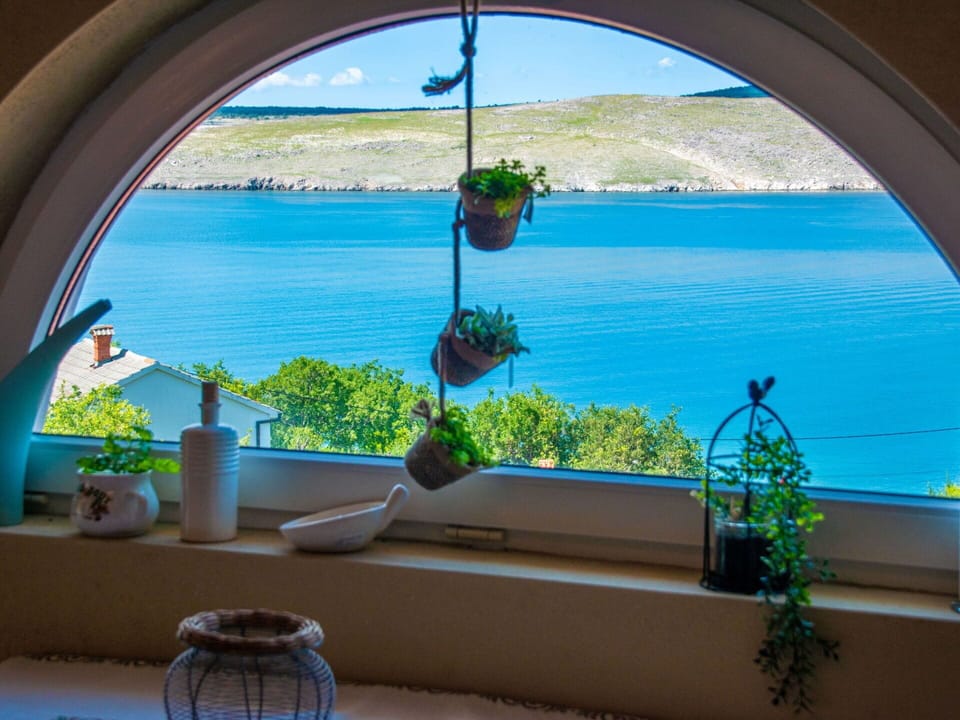 Water, Plant, Property, Blue, Green, Light, Azure, Shade, Interior Design, Outdoor Furniture