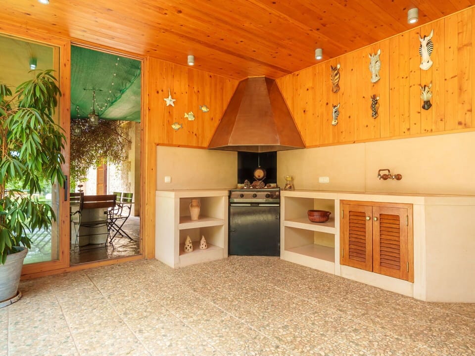 Plant, Property, Flowerpot, Cabinetry, Wood, Interior Design, Houseplant, Hall, Floor, Flooring