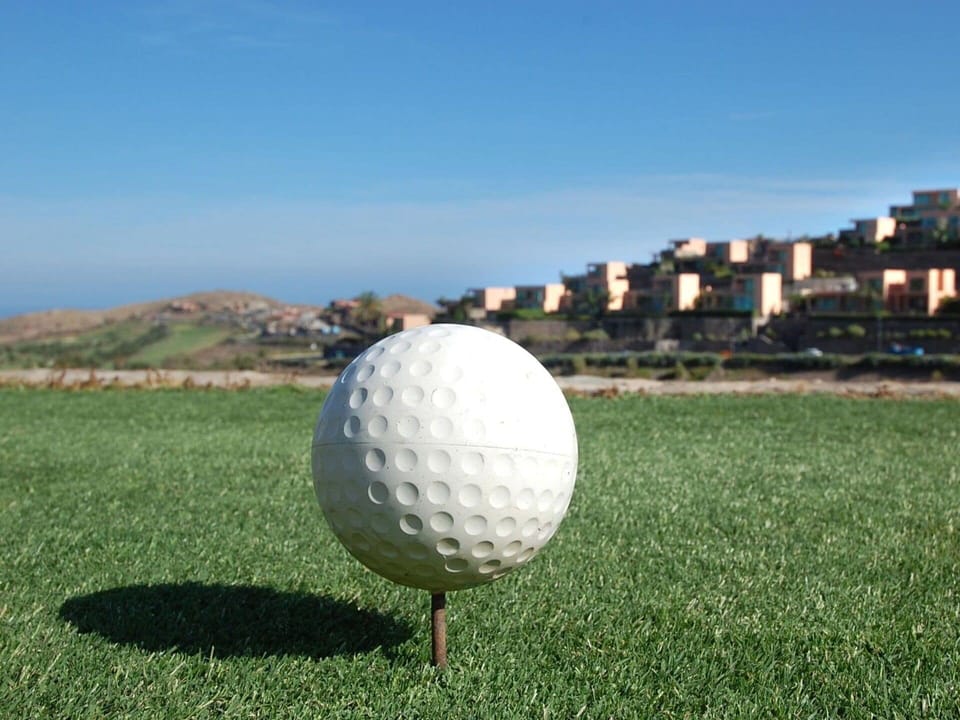 Sky, Sports Equipment, Plant, Grass, Tree, Biome