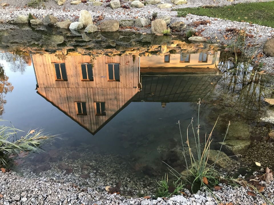 Plant, Water, Window, Building, Watercourse, Tree, Bank, House, Landscape, Wood