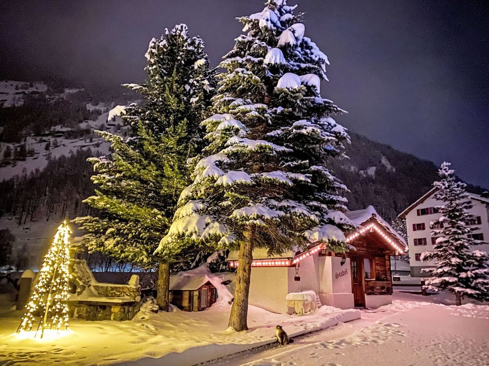 Snow, World, Light, Branch, Sky, Larch, House, Tree, Natural Landscape, Plant